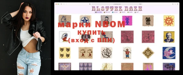 индика Гусь-Хрустальный