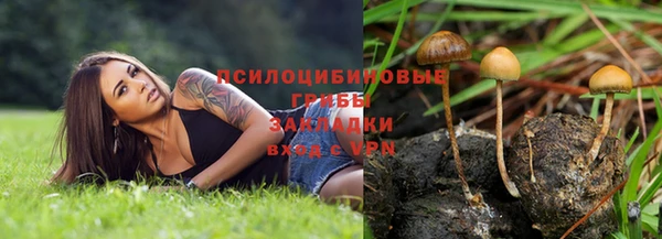 твердый Армянск